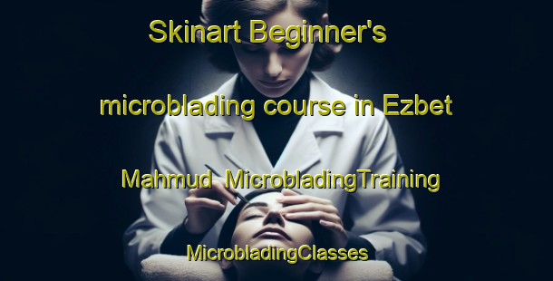 Skinart Beginner's microblading course in Ezbet Mahmud | #MicrobladingTraining #MicrobladingClasses #SkinartTraining-Egypt