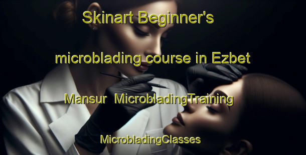 Skinart Beginner's microblading course in Ezbet Mansur | MicrobladingTraining | MicrobladingClasses | SkinartTraining-Egypt