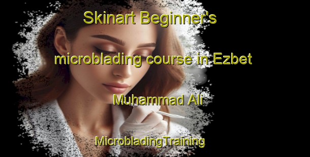 Skinart Beginner's microblading course in Ezbet Muhammad Ali | MicrobladingTraining | MicrobladingClasses | SkinartTraining-Egypt