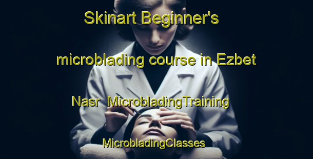 Skinart Beginner's microblading course in Ezbet Nasr | MicrobladingTraining | MicrobladingClasses | SkinartTraining-Egypt