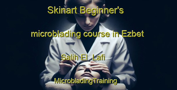 Skinart Beginner's microblading course in Ezbet Salih El  Lafi | MicrobladingTraining | MicrobladingClasses | SkinartTraining-Egypt