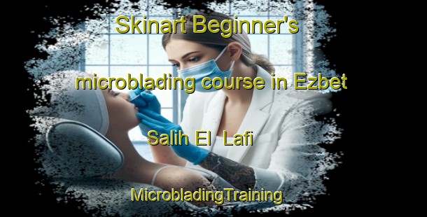 Skinart Beginner's microblading course in Ezbet Salih El  Lafi | MicrobladingTraining | MicrobladingClasses | SkinartTraining-Egypt
