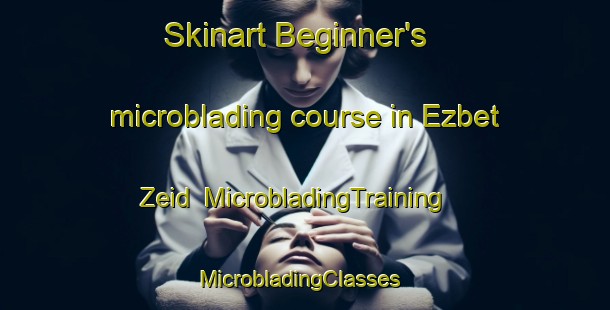 Skinart Beginner's microblading course in Ezbet Zeid | MicrobladingTraining | MicrobladingClasses | SkinartTraining-Egypt