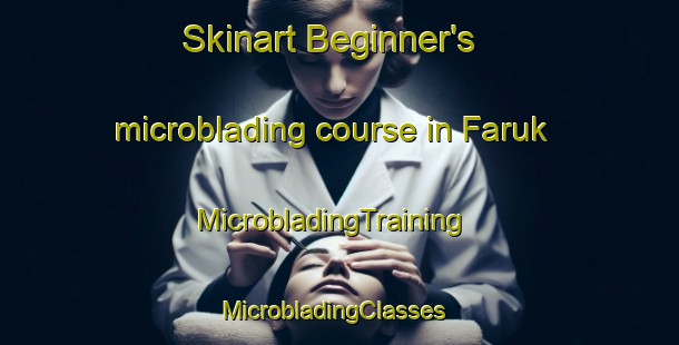 Skinart Beginner's microblading course in Faruk | MicrobladingTraining | MicrobladingClasses | SkinartTraining-Egypt