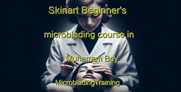 Skinart Beginner's microblading course in Muharram Bey | MicrobladingTraining | MicrobladingClasses | SkinartTraining-Egypt