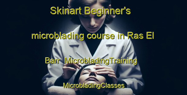 Skinart Beginner's microblading course in Ras El Barr | #MicrobladingTraining #MicrobladingClasses #SkinartTraining-Egypt