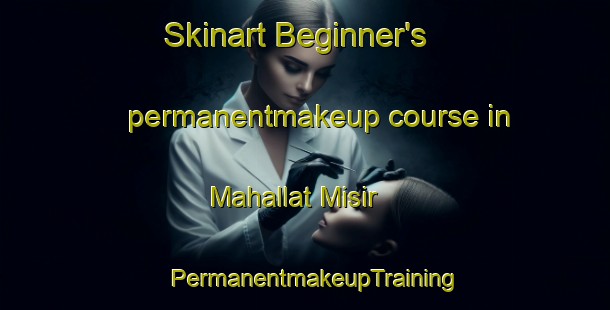 Skinart Beginner's permanentmakeup course in Mahallat Misir | PermanentmakeupTraining | PermanentmakeupClasses | SkinartTraining-Egypt