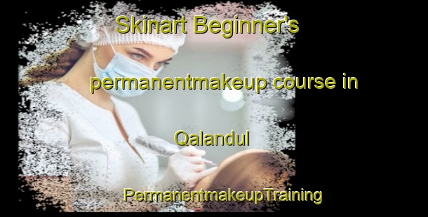 Skinart Beginner's permanentmakeup course in Qalandul | #PermanentmakeupTraining #PermanentmakeupClasses #SkinartTraining-Egypt