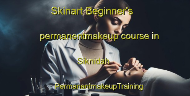 Skinart Beginner's permanentmakeup course in Siknidah | #PermanentmakeupTraining #PermanentmakeupClasses #SkinartTraining-Egypt