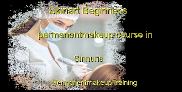 Skinart Beginner's permanentmakeup course in Sinnuris | #PermanentmakeupTraining #PermanentmakeupClasses #SkinartTraining-Egypt