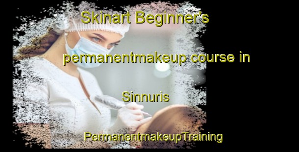 Skinart Beginner's permanentmakeup course in Sinnuris | PermanentmakeupTraining | PermanentmakeupClasses | SkinartTraining-Egypt
