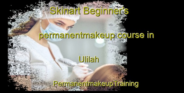 Skinart Beginner's permanentmakeup course in Ulilah | #PermanentmakeupTraining #PermanentmakeupClasses #SkinartTraining-Egypt