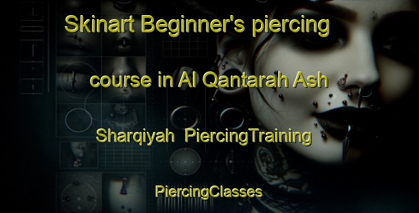 Skinart Beginner's piercing course in Al Qantarah Ash Sharqiyah | #PiercingTraining #PiercingClasses #SkinartTraining-Egypt