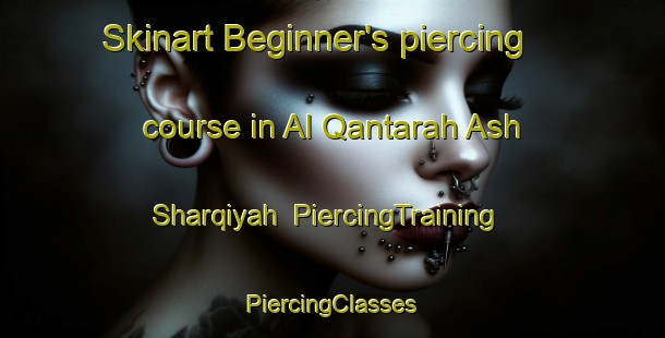 Skinart Beginner's piercing course in Al Qantarah Ash Sharqiyah | #PiercingTraining #PiercingClasses #SkinartTraining-Egypt