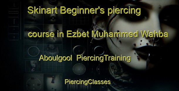 Skinart Beginner's piercing course in Ezbet Muhammed Wahba Aboulgool | PiercingTraining | PiercingClasses | SkinartTraining-Egypt