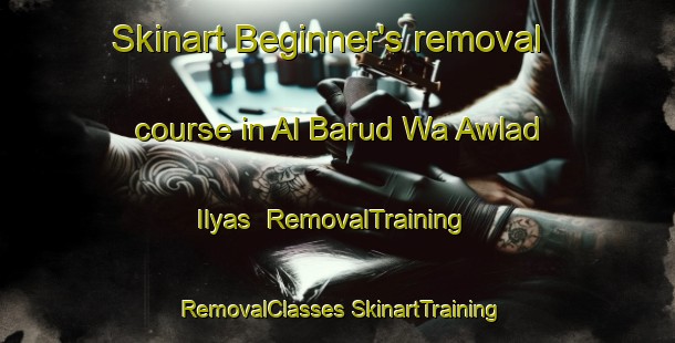 Skinart Beginner's removal course in Al Barud Wa Awlad Ilyas | #RemovalTraining #RemovalClasses #SkinartTraining-Egypt