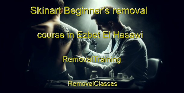 Skinart Beginner's removal course in Ezbet El Hasawi | RemovalTraining | RemovalClasses | SkinartTraining-Egypt