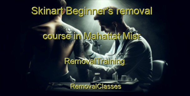 Skinart Beginner's removal course in Mahattat Misr | RemovalTraining | RemovalClasses | SkinartTraining-Egypt