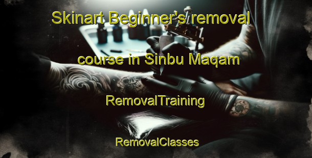 Skinart Beginner's removal course in Sinbu Maqam | RemovalTraining | RemovalClasses | SkinartTraining-Egypt