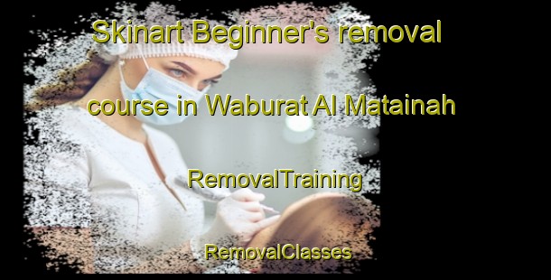 Skinart Beginner's removal course in Waburat Al Matainah | RemovalTraining | RemovalClasses | SkinartTraining-Egypt