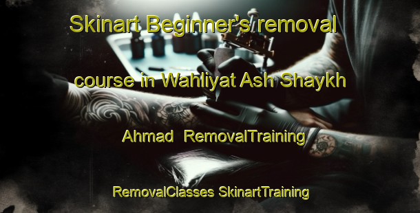 Skinart Beginner's removal course in Wahliyat Ash Shaykh Ahmad | #RemovalTraining #RemovalClasses #SkinartTraining-Egypt