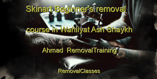 Skinart Beginner's removal course in Wahliyat Ash Shaykh Ahmad | RemovalTraining | RemovalClasses | SkinartTraining-Egypt
