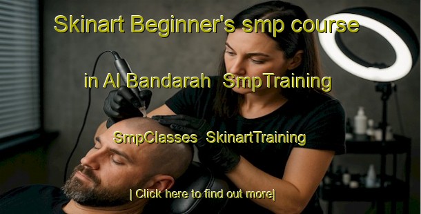 Skinart Beginner's smp course in Al Bandarah | SmpTraining | SmpClasses | SkinartTraining-Egypt