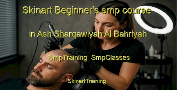 Skinart Beginner's smp course in Ash Sharqawiyah Al Bahriyah | SmpTraining | SmpClasses | SkinartTraining-Egypt