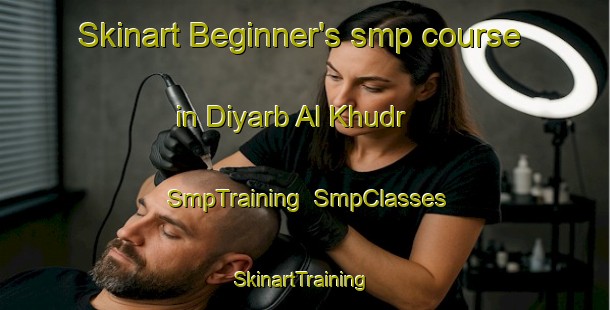 Skinart Beginner's smp course in Diyarb Al Khudr | SmpTraining | SmpClasses | SkinartTraining-Egypt