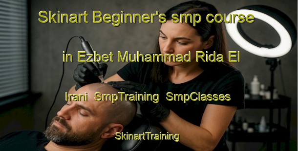 Skinart Beginner's smp course in Ezbet Muhammad Rida El  Irani | SmpTraining | SmpClasses | SkinartTraining-Egypt