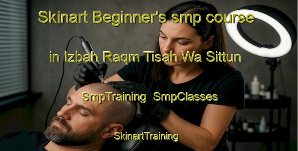 Skinart Beginner's smp course in Izbah Raqm Tisah Wa Sittun | SmpTraining | SmpClasses | SkinartTraining-Egypt