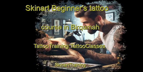 Skinart Beginner's tattoo course in Birqamah | #TattooTraining #TattooClasses #SkinartTraining-Egypt