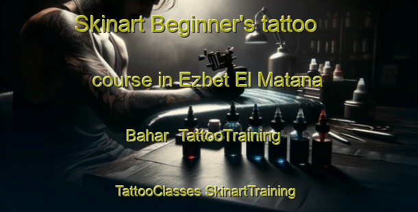 Skinart Beginner's tattoo course in Ezbet El Matana Bahar | #TattooTraining #TattooClasses #SkinartTraining-Egypt