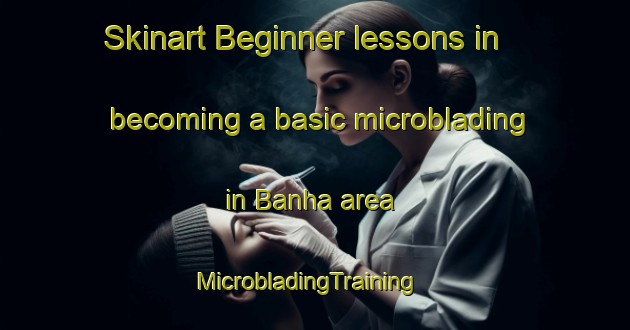 Skinart Beginner lessons in becoming a basic microblading in Banha area | MicrobladingTraining | MicrobladingClasses | SkinartTraining-Egypt