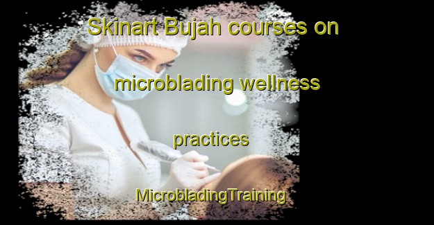 Skinart Bujah courses on microblading wellness practices | MicrobladingTraining | MicrobladingClasses | SkinartTraining-Egypt