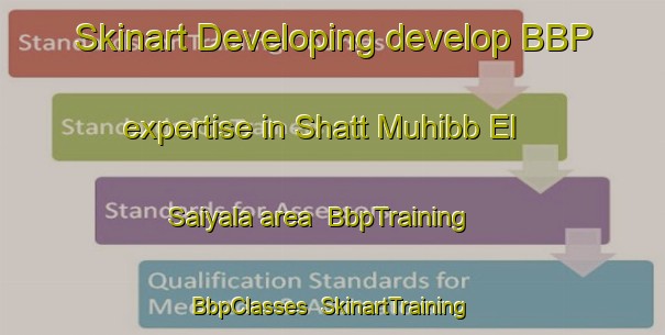 Skinart Developing develop BBP expertise in Shatt Muhibb El Saiyala area | BbpTraining | BbpClasses | SkinartTraining-Egypt
