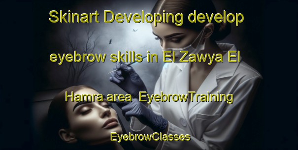 Skinart Developing develop eyebrow skills in El Zawya El Hamra area | EyebrowTraining | EyebrowClasses | SkinartTraining-Egypt