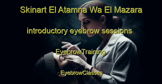 Skinart El Atamna Wa El Mazara introductory eyebrow sessions | EyebrowTraining | EyebrowClasses | SkinartTraining-Egypt