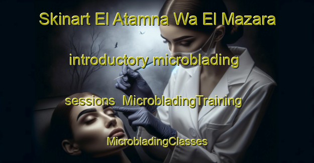 Skinart El Atamna Wa El Mazara introductory microblading sessions | #MicrobladingTraining #MicrobladingClasses #SkinartTraining-Egypt