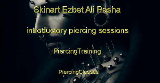 Skinart Ezbet Ali Pasha introductory piercing sessions | PiercingTraining | PiercingClasses | SkinartTraining-Egypt