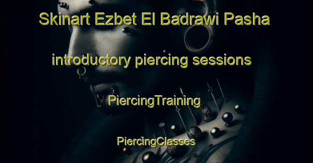 Skinart Ezbet El Badrawi Pasha introductory piercing sessions | #PiercingTraining #PiercingClasses #SkinartTraining-Egypt