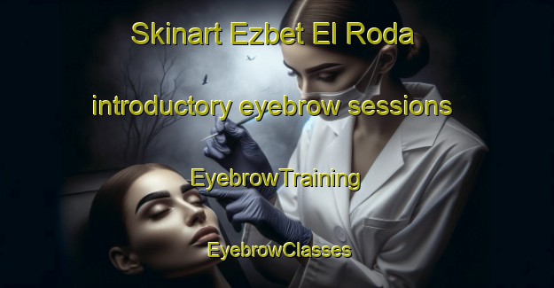 Skinart Ezbet El Roda introductory eyebrow sessions | EyebrowTraining | EyebrowClasses | SkinartTraining-Egypt
