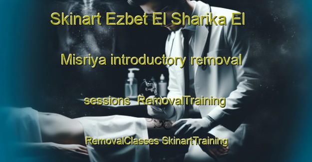 Skinart Ezbet El Sharika El Misriya introductory removal sessions | #RemovalTraining #RemovalClasses #SkinartTraining-Egypt