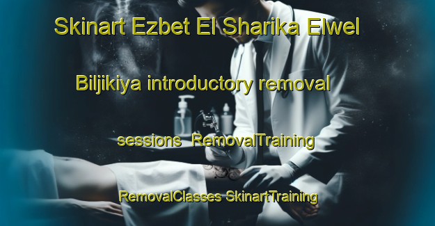 Skinart Ezbet El Sharika Elwel Biljikiya introductory removal sessions | #RemovalTraining #RemovalClasses #SkinartTraining-Egypt