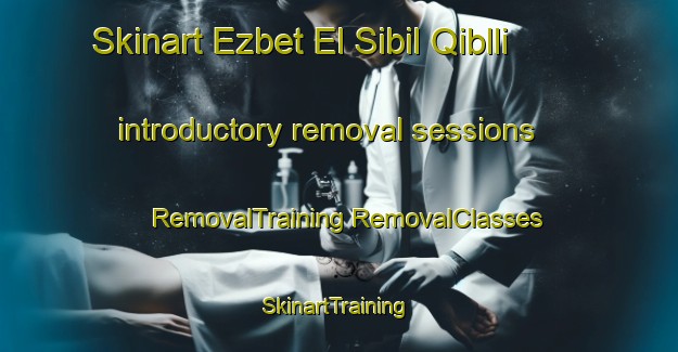 Skinart Ezbet El Sibil Qiblli introductory removal sessions | #RemovalTraining #RemovalClasses #SkinartTraining-Egypt