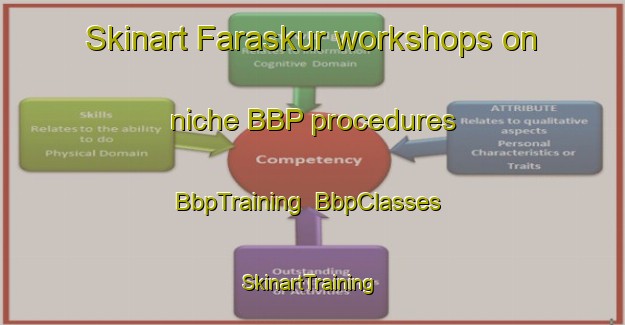 Skinart Faraskur workshops on niche BBP procedures | BbpTraining | BbpClasses | SkinartTraining-Egypt