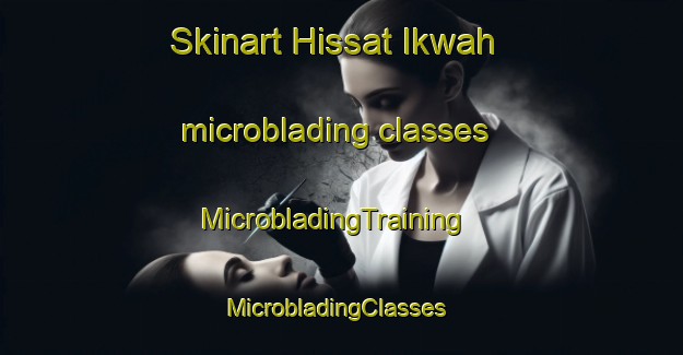 Skinart Hissat Ikwah microblading classes | MicrobladingTraining | MicrobladingClasses | SkinartTraining-Egypt