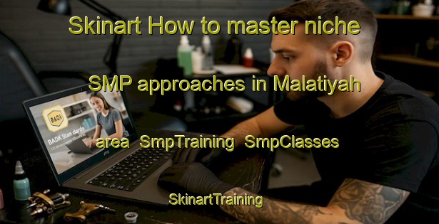 Skinart How to master niche SMP approaches in Malatiyah area | SmpTraining | SmpClasses | SkinartTraining-Egypt