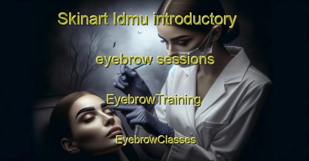 Skinart Idmu introductory eyebrow sessions | EyebrowTraining | EyebrowClasses | SkinartTraining-Egypt