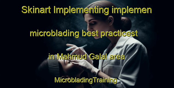 Skinart Implementing implemen microblading best practicest in Mahmud Galal area | #MicrobladingTraining #MicrobladingClasses #SkinartTraining-Egypt